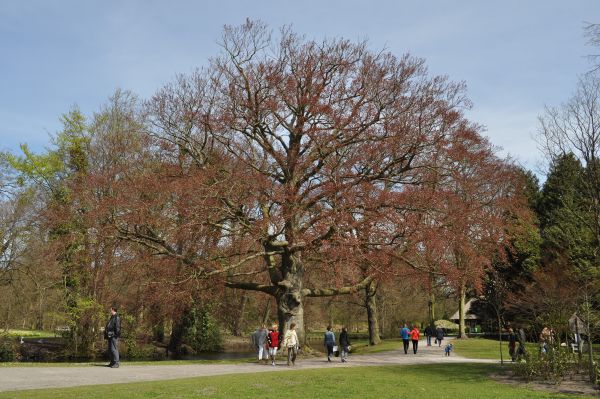 27-4-2013 Clingendael 2013 145 Hans van Meer 600