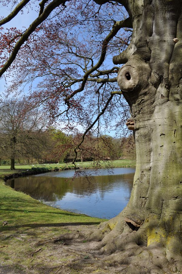 27-4-2013 Clingendael 2013 155 Hans van Meer 600