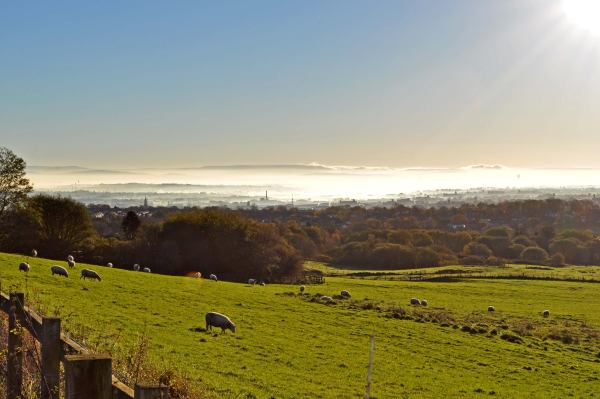 BURRS 2013 111 org 600