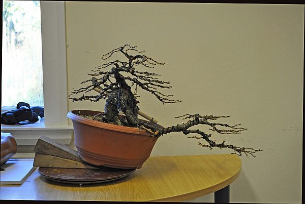 BURRS 2013 173 org 600