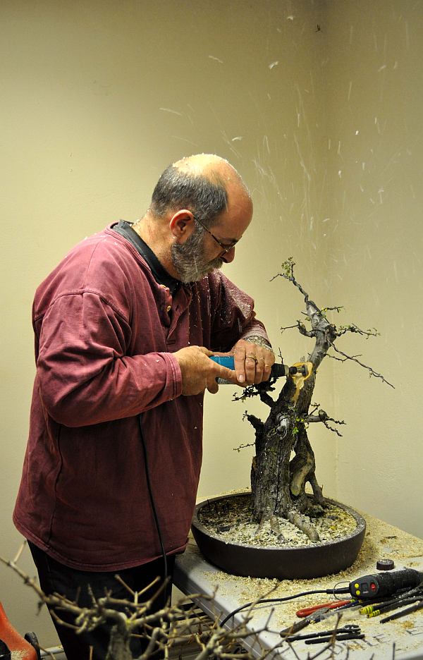 BURRS 2013 180 org klein