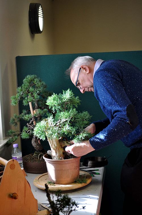 BURRS 2013 211 org 500