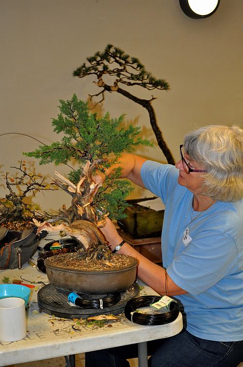 BURRS 2013 247 org 500