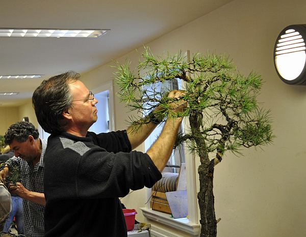 BURRS 2013 249 org 600