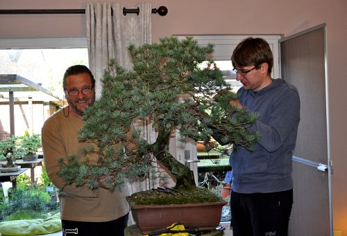 12-5-2014 Larix 013 Hans van Meer 500