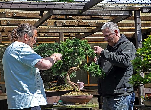 Dirk 2014 025 org Hans van Meer 500