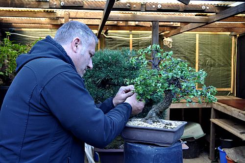 Dirk 2014 036 org Hans van Meer 500