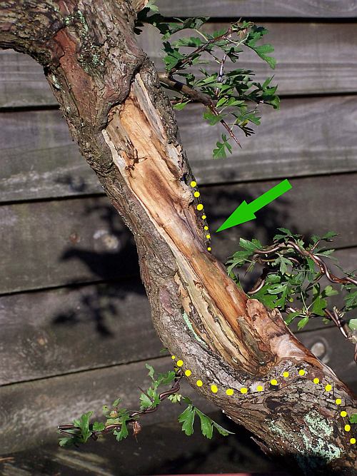 november, 2005 virtual Hans van Meer 500