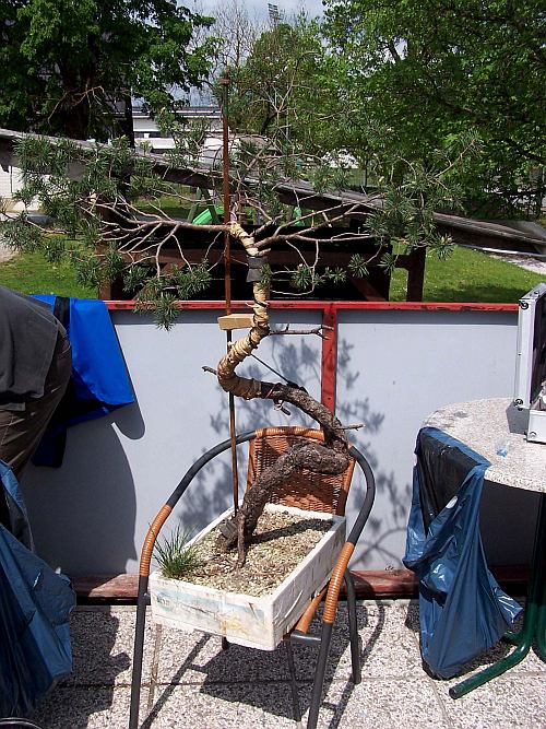 Slovenia 2014 096 org Hans van Meer 500