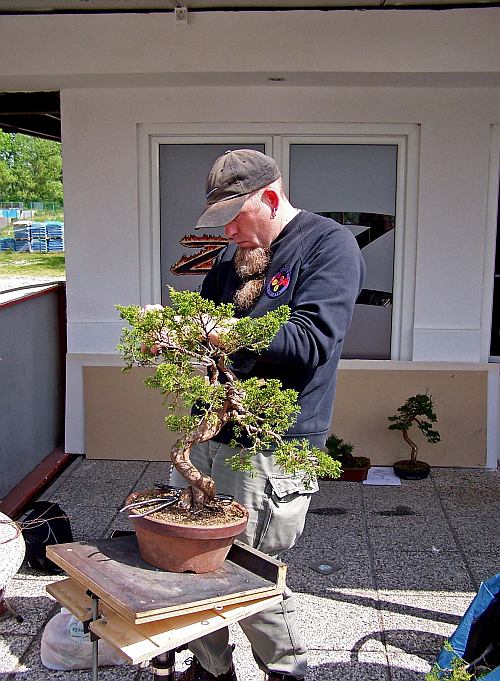 Slovenia 2014 097 org Hans van Meer 500