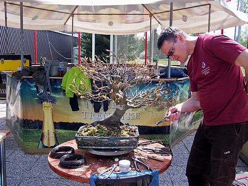 Slovenia 2014 101 org Hans van Meer 500