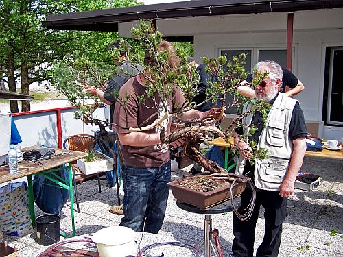Slovenia 2014 102 org Hans van Meer 500