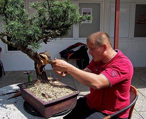 Slovenia 2014 104 org Hans van Meer 500