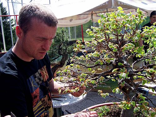 Slovenia 2014 105 org Hans van Meer 500