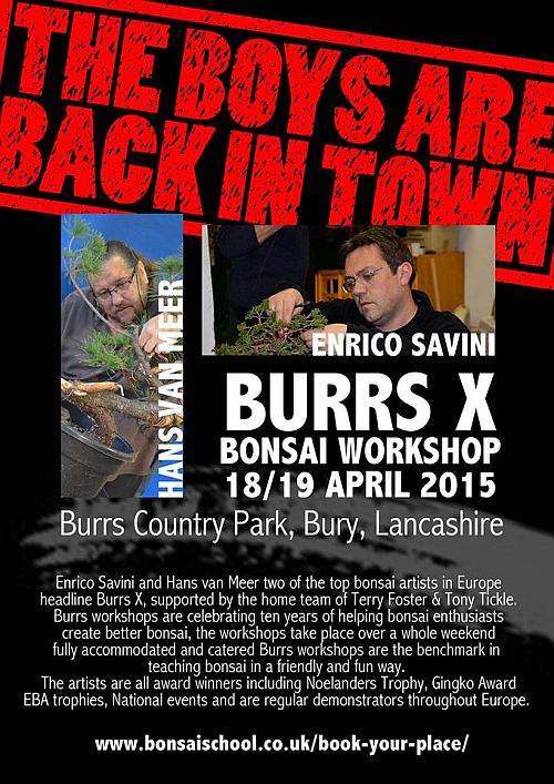burrs 2015 blog