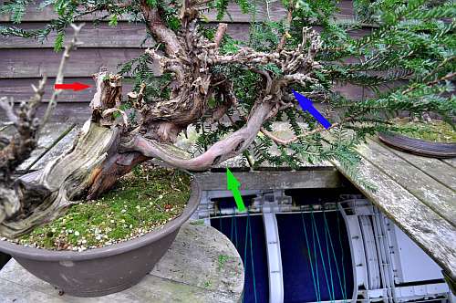 24-4-2016 taxus styling 139 hans van meer 500