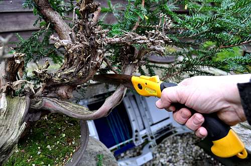 24-4-2016 taxus styling 143 hans van meer 500