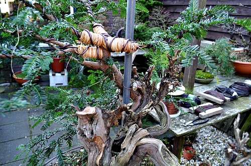 24-4-2016 taxus styling 268 hans van meer 500