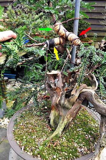 24-4-2016 taxus styling 287 hans van meer 350