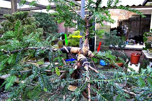 24-4-2016 taxus styling 289 hans van meer 500