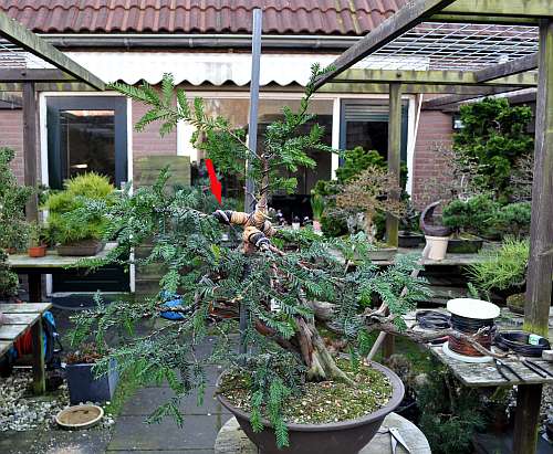 24-4-2016 taxus styling 291 hans van meer 500