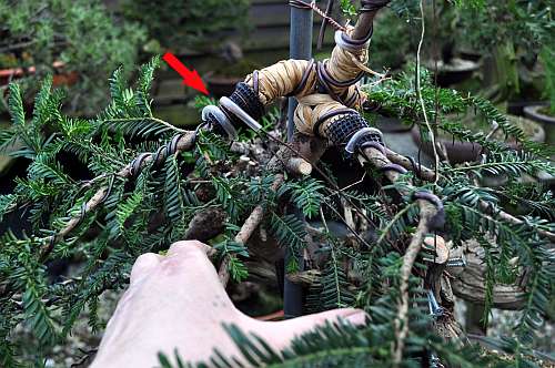 24-4-2016 taxus styling 298 hans van meer 500