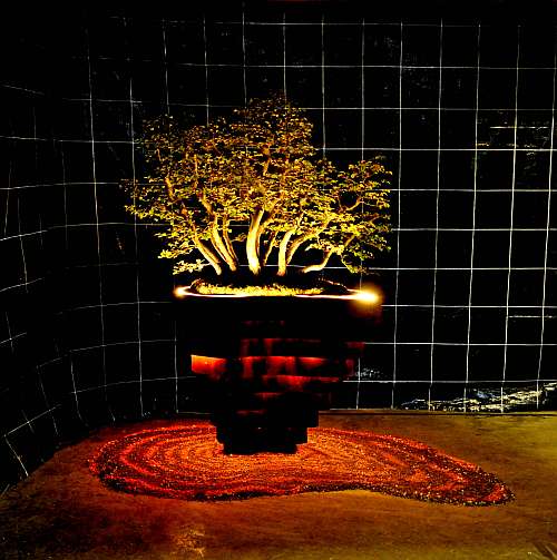 28-5-2016 KEI-BONSAI-KAI SHOW 026 hans van meer 500