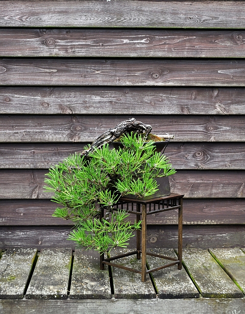 30-7-2016 226 hans van meer 500