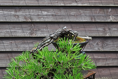 30-7-2016 239 hans van meer 500