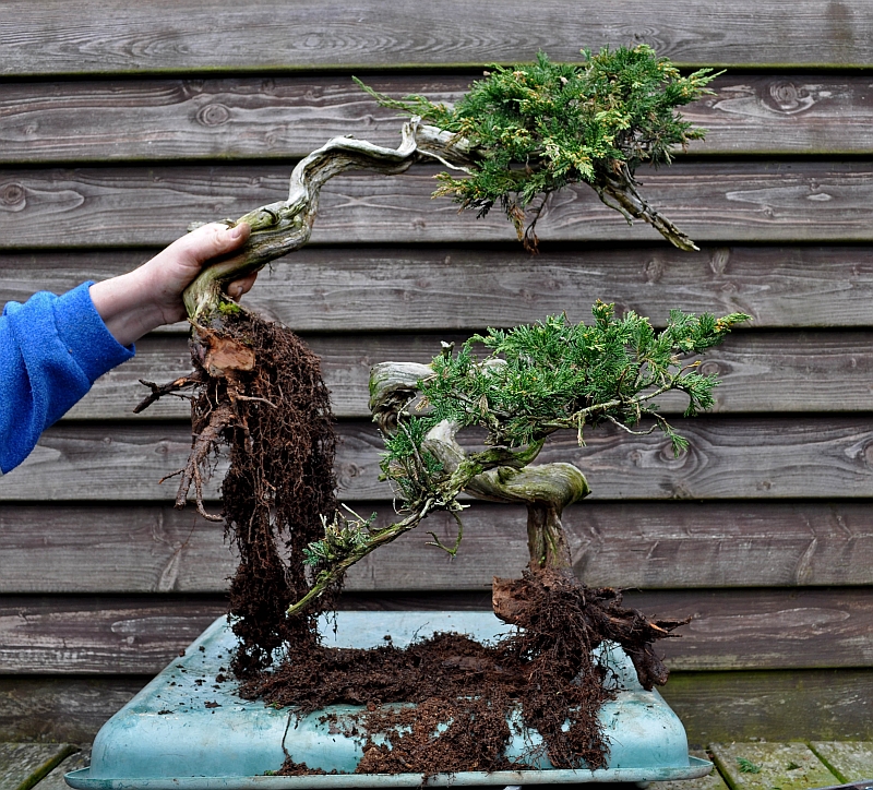 sabina-verpotten-april-2018-203-hans-van-meer-org